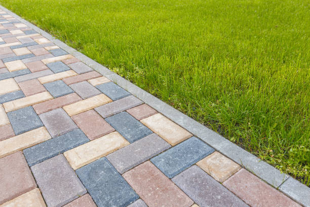 Best Asphalt Driveway Pavers in Albany, MN